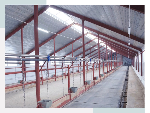 Строительство коровников в Муроме от 613 руб.