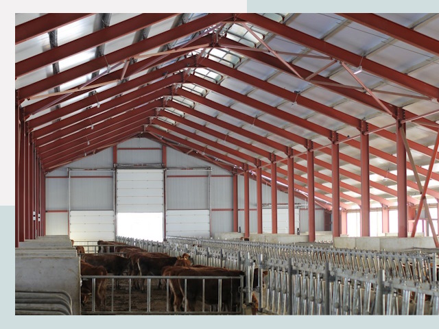 Строительство коровников в Муроме