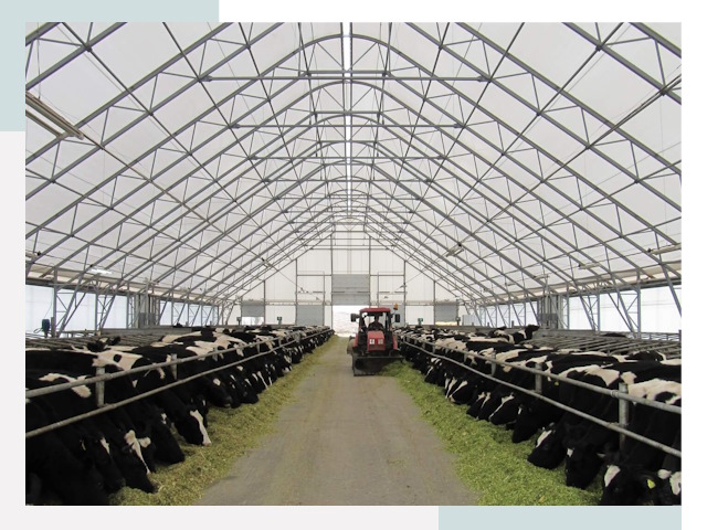 Тентовые коровники в Муроме от 613 руб. - Надежно и доступно