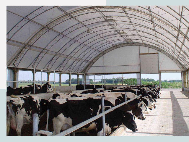 Тентовые коровники в Муроме